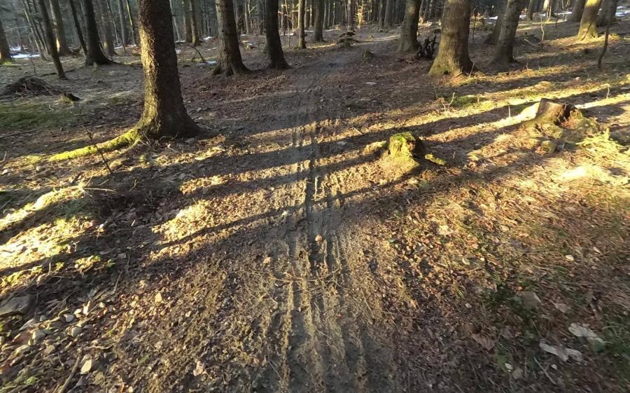 Idzie wiosna, ale na rower górski jest zbyt wcześnie