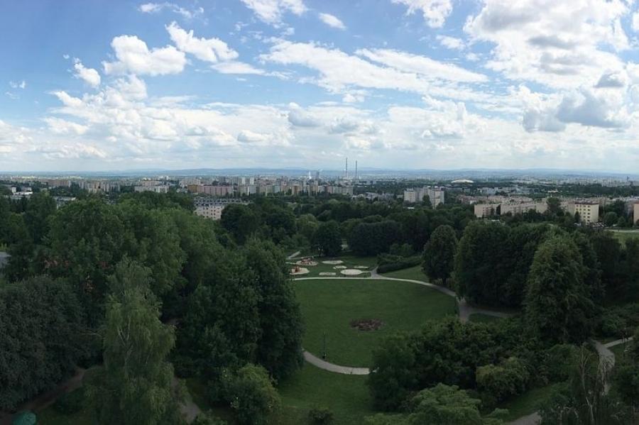 Zakaz palenia węglem zgodny z prawem