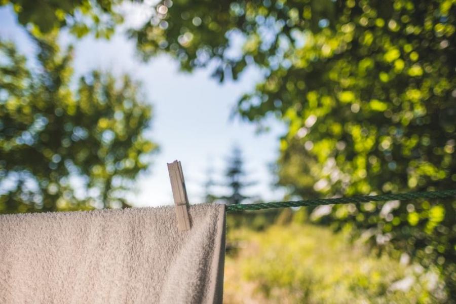Suszenie w domu kontra suszenie w ogrodzie – co jest skuteczniejsze?