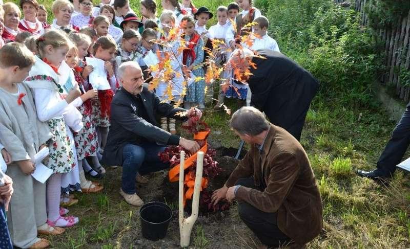 Dąb św. Jana Pawła II