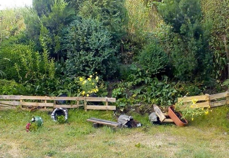 Ryją przy domach, biegają po ulicach