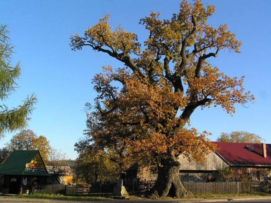Podbabiogórze znane i nieznane – Niemi świadkowiennaszej historii