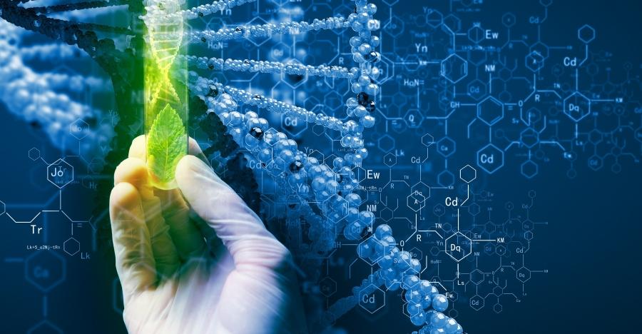 Dolinabiotechnologiczna.pl - cenne źródło wiedzy