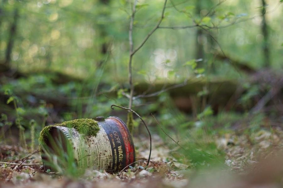 Posprzątają szczyt by uczcić rocznicę odzyskania niepodległości