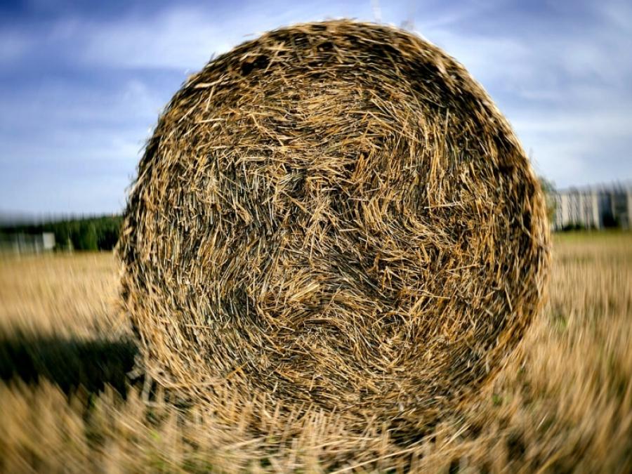 Jak wyprodukować sianokiszonki wysokiej jakości?