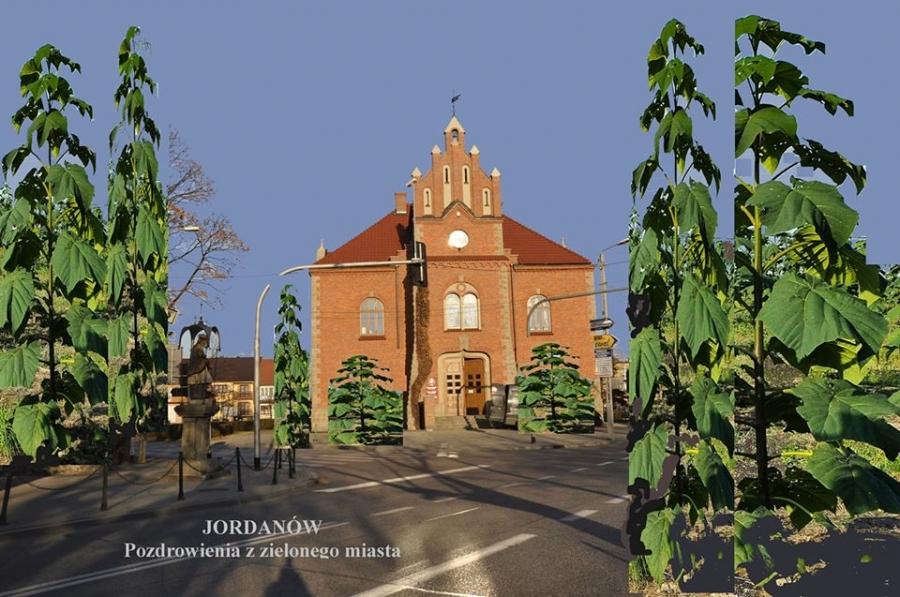 Internauci o oxytree w Jordanowie