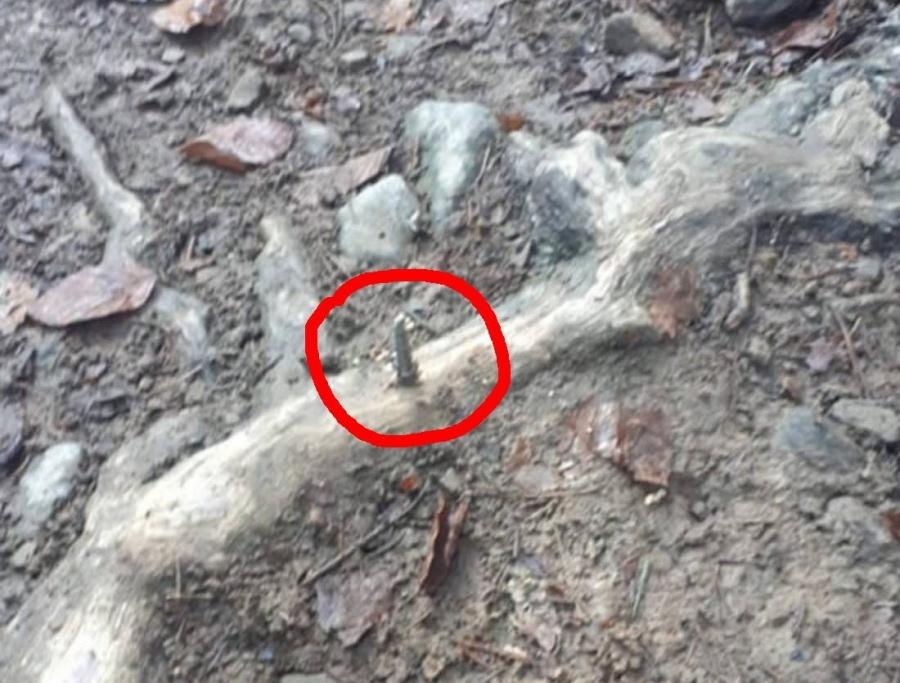 Niebezpieczne pułapki na szlakach