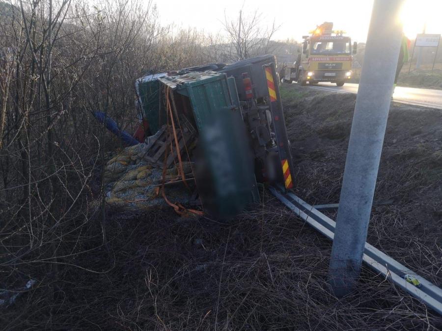 Zwierzę na drodze, auto w rowie