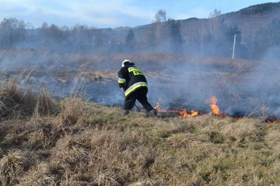 Mimo apeli i ostrzeżeń pod Babią Górą nadal płoną trawy