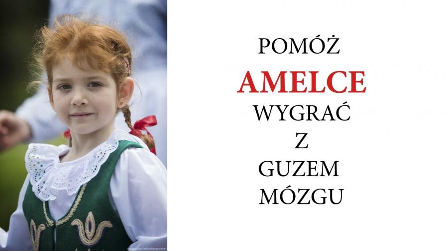Strażacy powiatu suskiego jednoczą siły dla Amelki