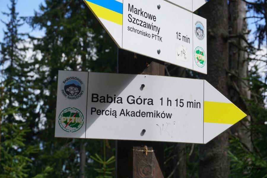 Królowa Beskidów zasypana śmieciami