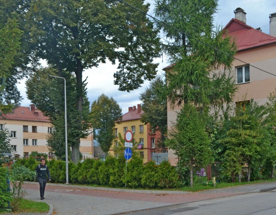 Wytyczą nowe przejście dla pieszych. Na pewno się przyda