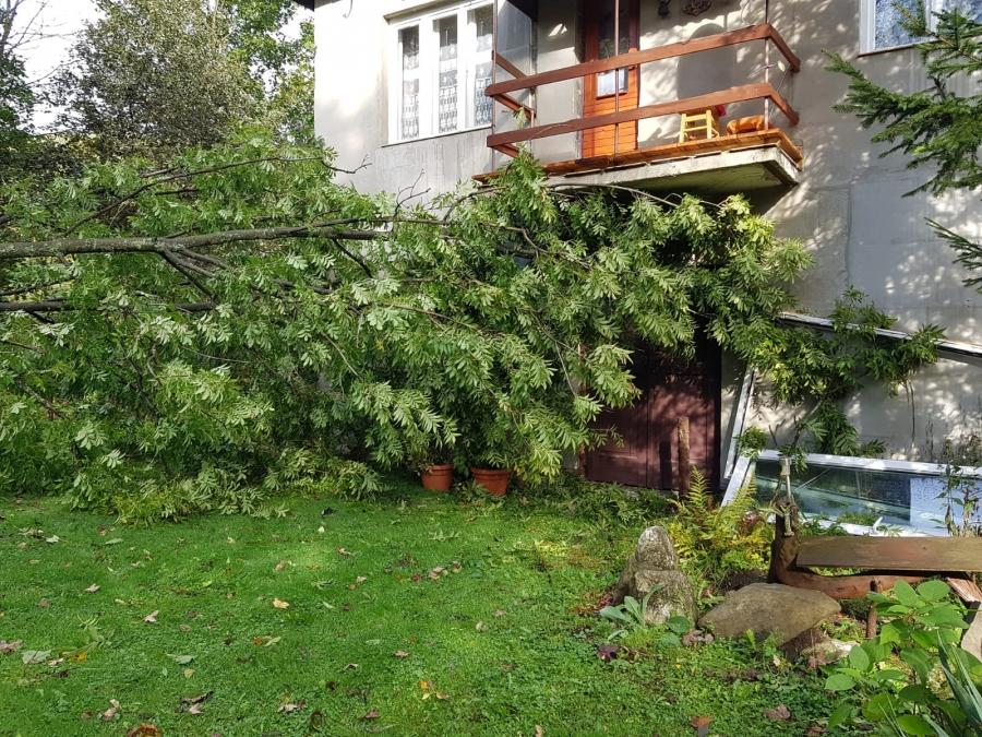 Po wietrznym weekendzie. Czy wichura mocno narozrabiała?