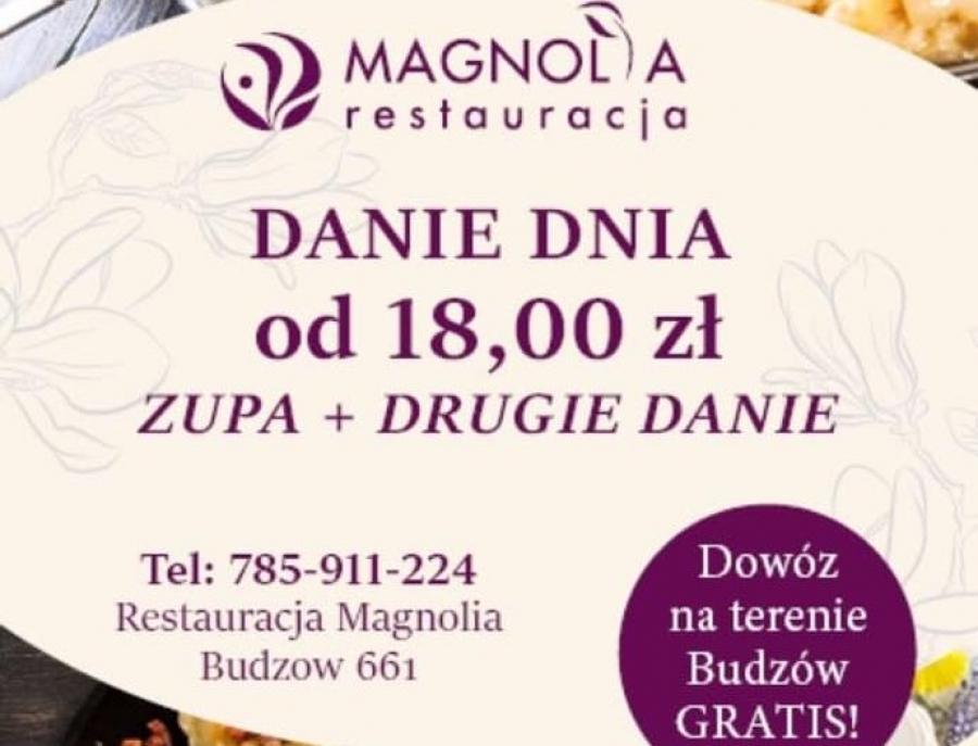 Obiady Dnia na dowóz !