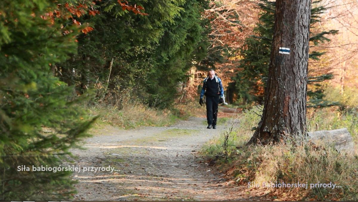 Babiogórski Park Narodowy: Plany na przyszły rok