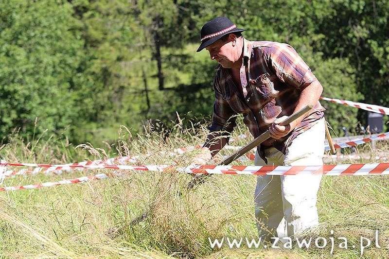 Kosy poszły w ruch!