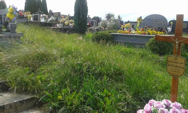 Cmentarz w Juszczynie znika z widoku