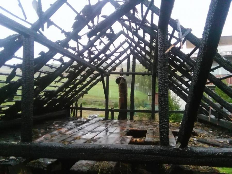 Każdy może pomóc