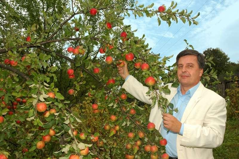 Sławomir Hajos - dziękuję za tak liczne poparcie mojej kandydatury