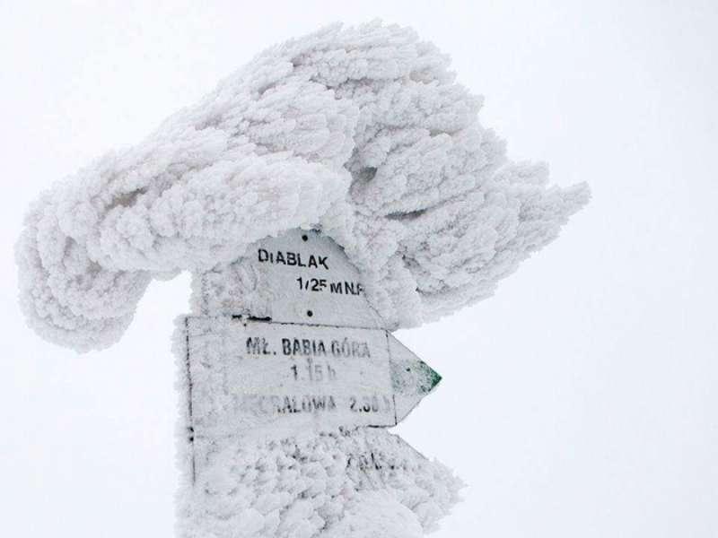 Szczęśliwe poszukiwania na Babiej Górze
