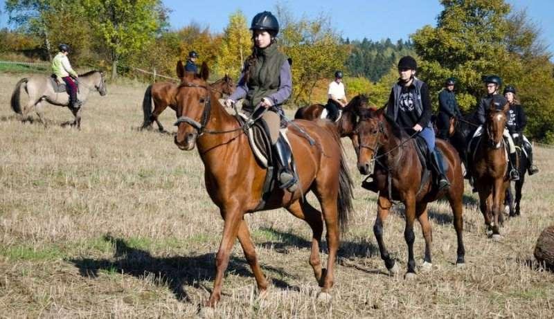 Jeździec – zawód przyszłości?