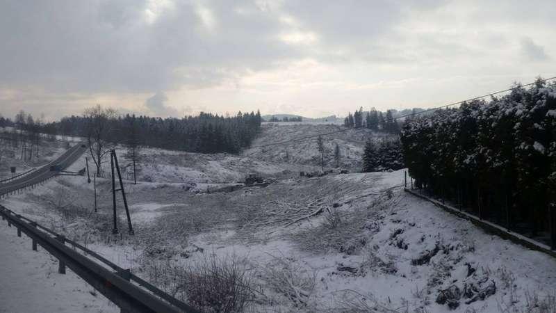 Naprawa. Karczują pod zakopiankę