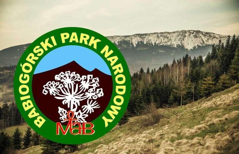 Można składać uwagi do planu ochrony parku