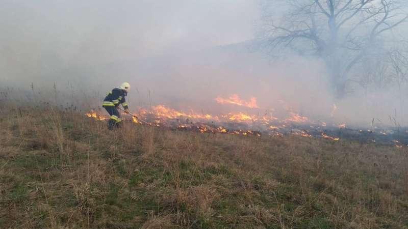 Znów zapłonęły trawy. Kiedy dojdzie to tragedii?