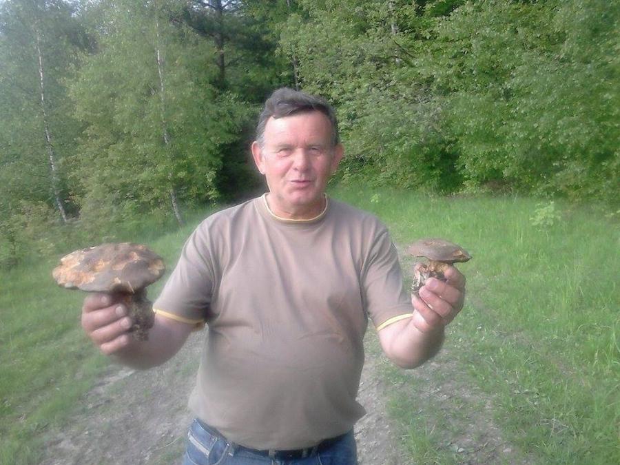 Koszyki w dłonie! pierwsze grzyby już zebrane