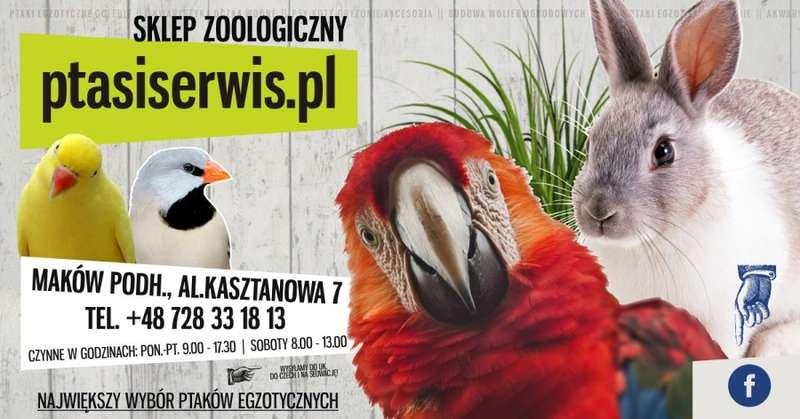 Maków Podhalański. Sklep PtasiSerwis zaprasza