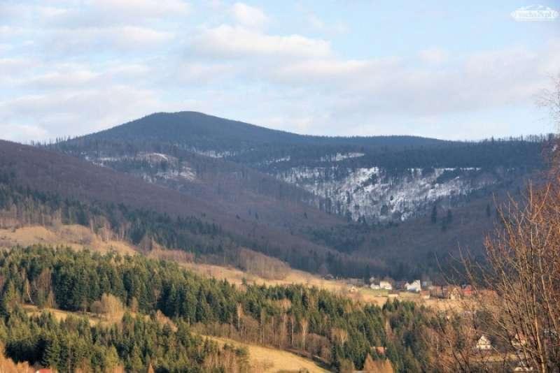 Przewodnicy pod kontrolą