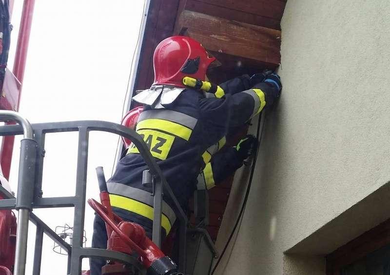 Juszczyn. Nietypowa akcja Strażaków. Uwolnili ptaszka