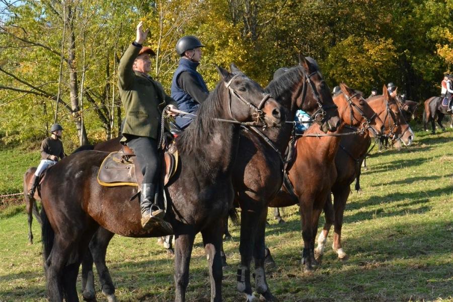 Kobiety w siodle górą, w tle złota polska jesień. Tak wyglądał makowski Hubertus!