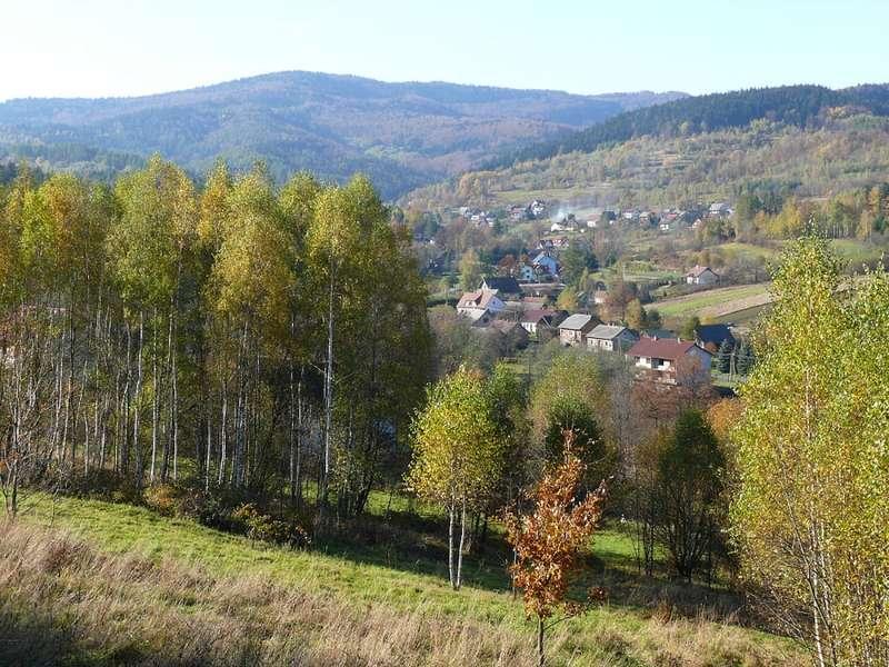 Tarnawa Górna: szansa na budowę chodnika wzdłuż drogi powiatowej