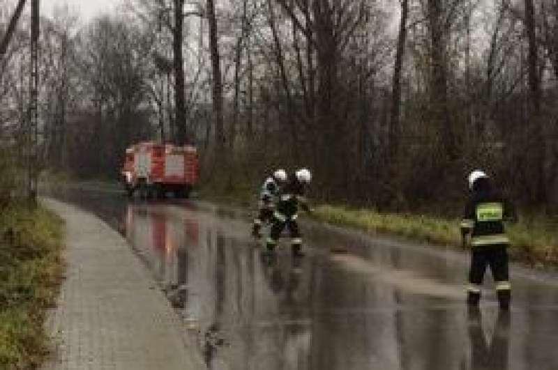 Plamy ropy pomiędzy Suchą a Budzowem