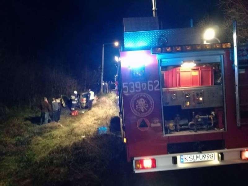 Toporzysko. Peugeot wypadł z drogi