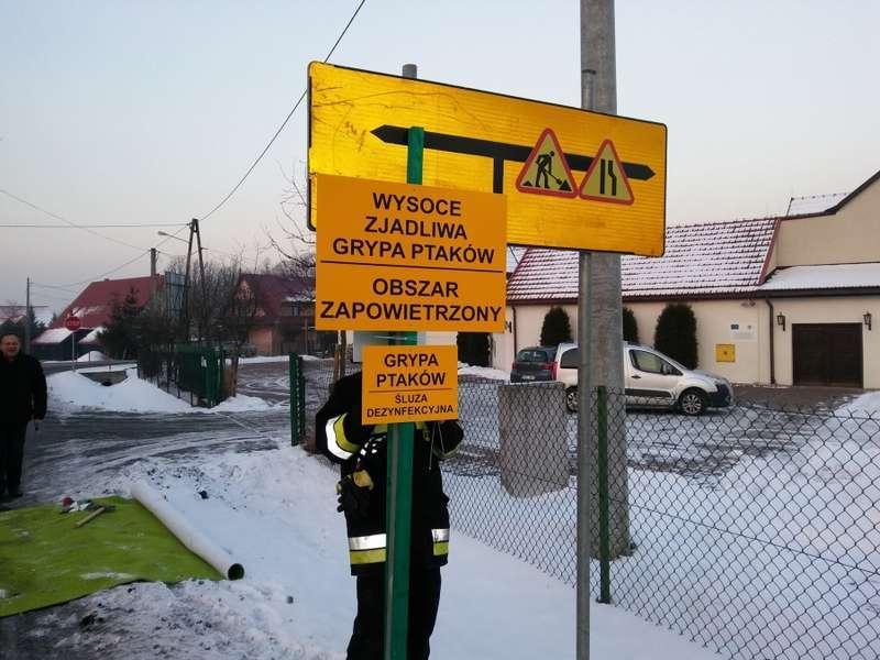 Wirus ptasiej grypy w pobliżu powiatu suskiego