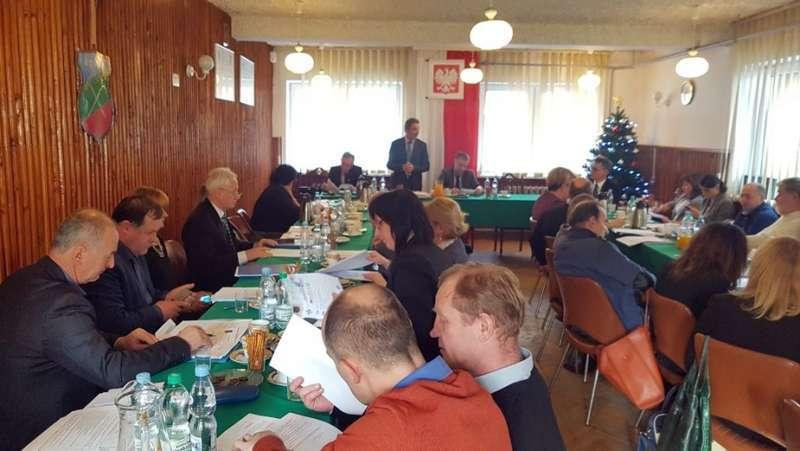 Zawoja. Uchwalili stawki za usuwanie drzew i krzewów