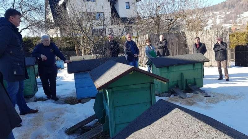 Pszczołami w Zawoi zajął się mediator sądowy