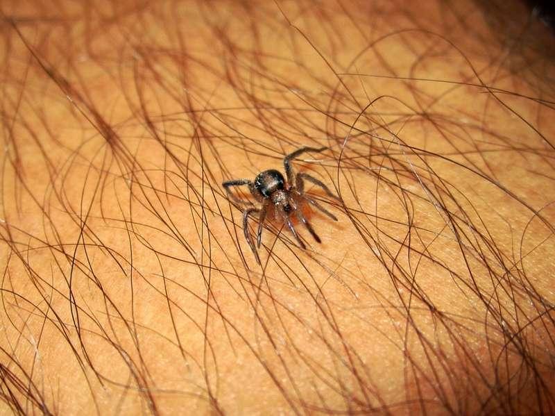 Uwaga na kleszcze! To warto pamiętać