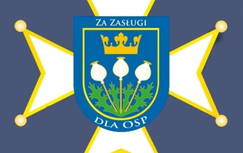 Makowscy Druhowie odznaczeni.