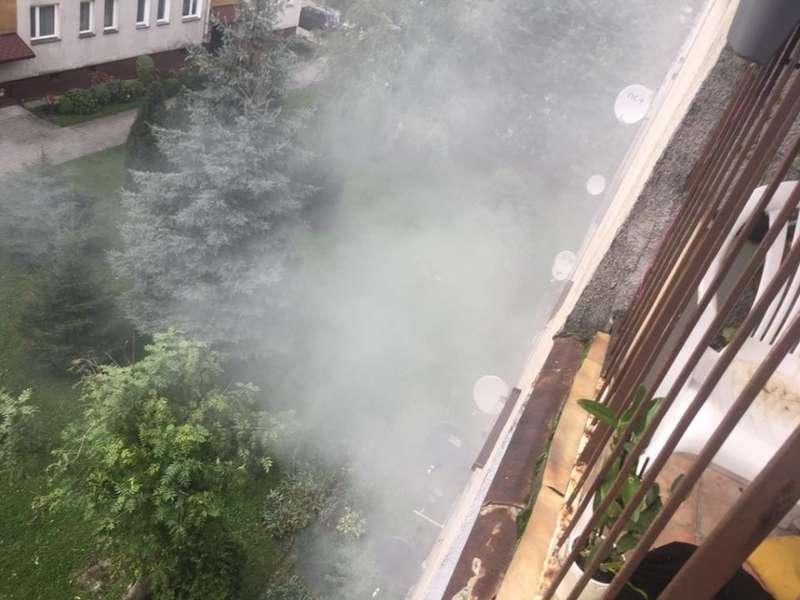 Przypalił się obiad. Interweniowała straż pożarna.
