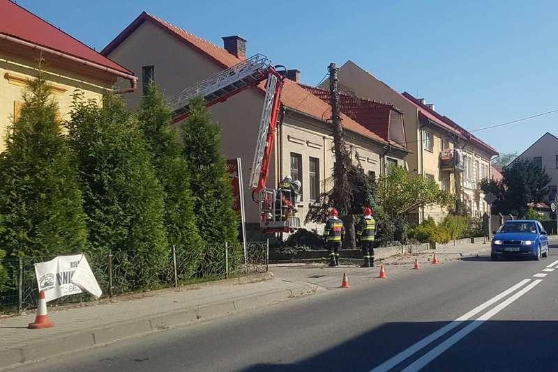 Węże i sikawki nie były potrzebne