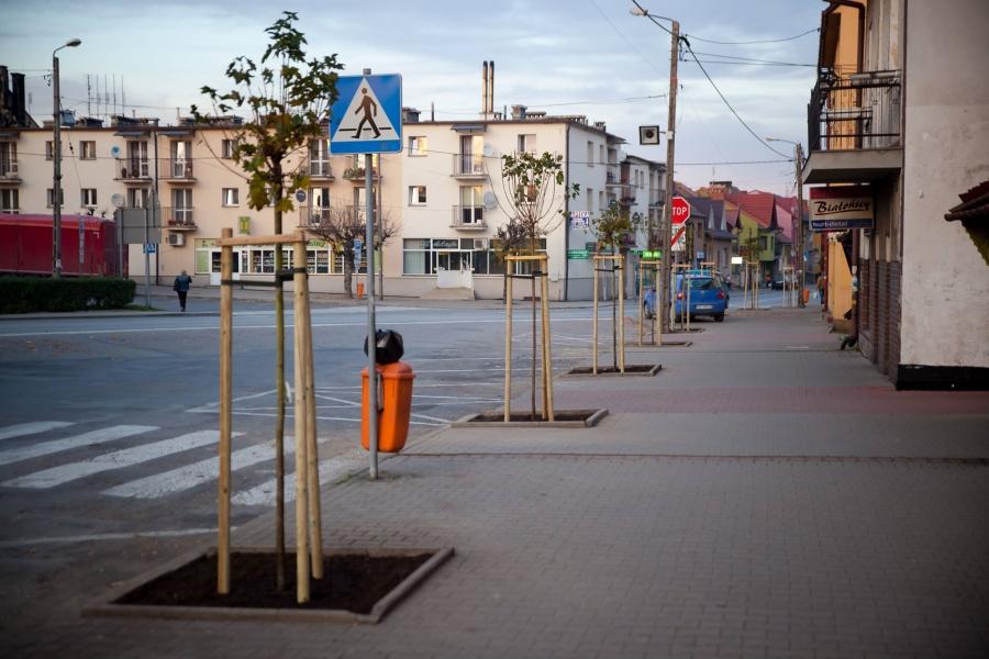 Zielone Miasteczko z nowymi drzewami