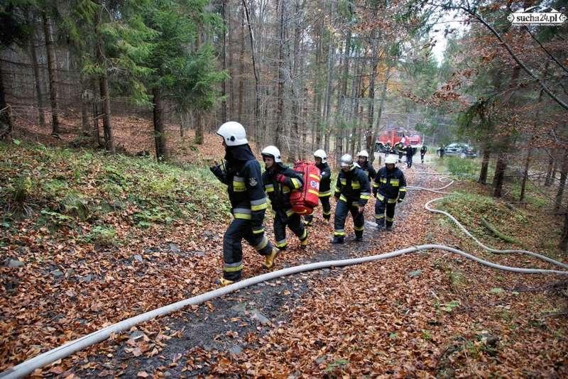 Pożar w parku narodowym - strażacy ćwiczyli walkę z żywiołem