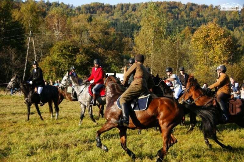 Hubertus przełożony, czyli na koniach w weekend nie poskaczą