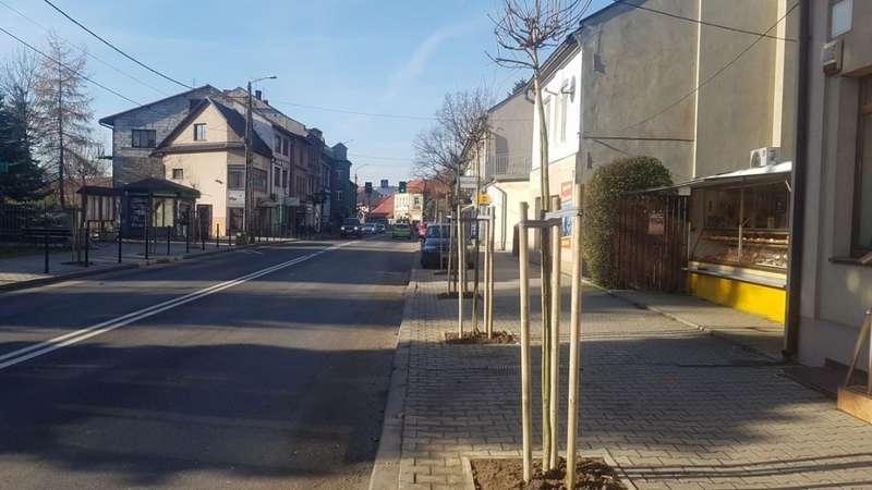 Zieleń wróciła do Makowa Podhalańskiego