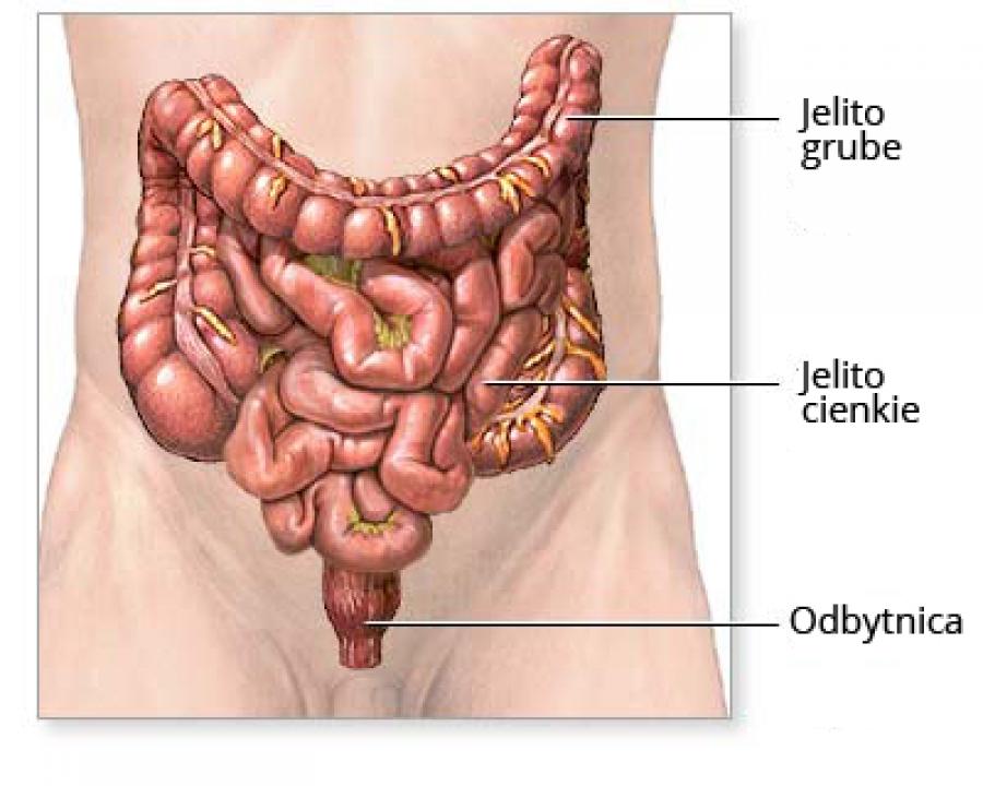 Jeden z najczęściej występujących, a zbyt późno wykrywalnych… rak jelita grubego.  Czynniki ryzyka, objawy, profilaktyka.