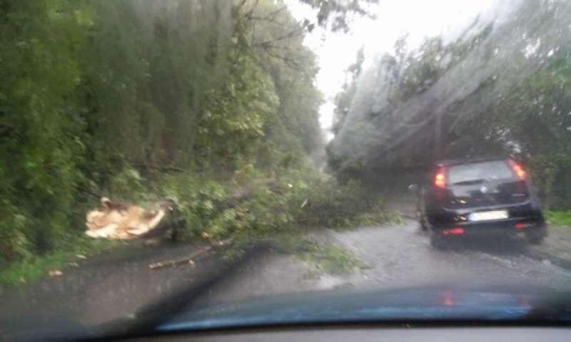 Powieje nawet 170 km/h! Synoptycy ostrzegają!