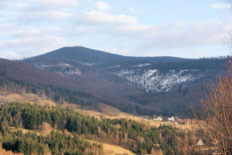 Powiat przejmuje opiekę nad lasami